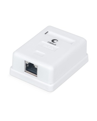 WS-8P8C-Cat.5e-SH-1 (7485c): Розетка RJ-45 в Ярославле