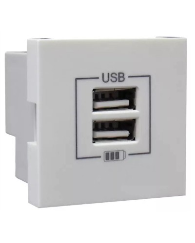 Розетка USB двойная, зарядная, белая (45439 SBR): Розетка USB двойная в Ярославле