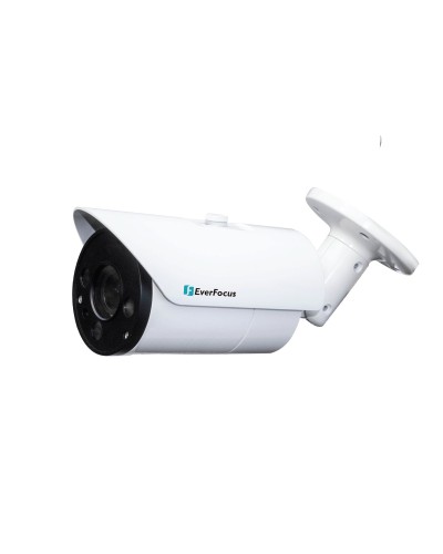 EZN-268V. Видеокамера IP купольная. EverFocus в Ярославле