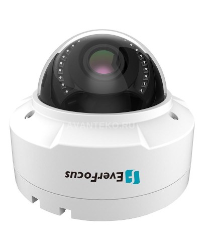 EHN-1250. Видеокамера IP купольная. EverFocus в Ярославле