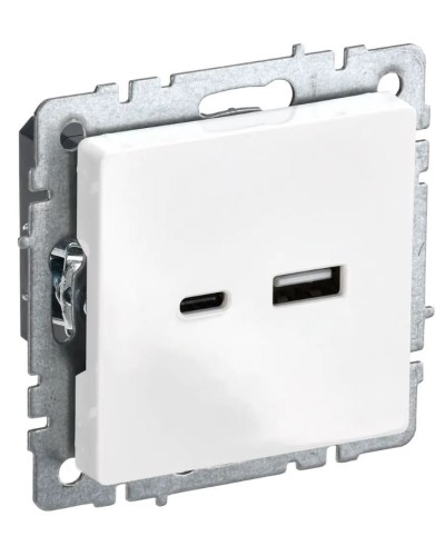 Розетка USB A+C 18Вт РЮ11-1-БрБ белый BRITE (BR-U22-018-K01). Розетка USB. IEK в Ярославле