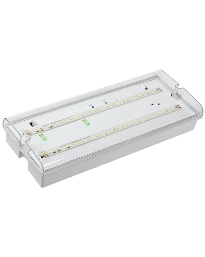 Светильник аварийный ДПА 5042-1 1ч IP65 LIGHTING (LDPA0-5042-1-65-K01). Светильник аварийный универсальный. IEK в Ярославле