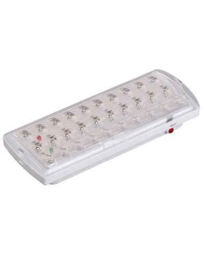 Светильник аварийный ДПА 2101 4ч IP20 LIGHTING (LDPA0-2101-30-K01). Светильник аварийный непостоянного действия. IEK в Ярославле