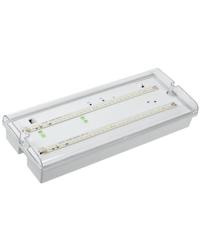 Светильник аварийный ДПА 5042-3 3ч IP65 LIGHTING (LDPA0-5042-3-65-K01). Светильник аварийный универсальный. IEK в Ярославле