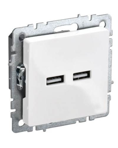 Розетка USB A+A 3,1А РЮ10-1-БрБ белый BRITE (BR-U21-D31-K01). Розетка USB. IEK в Ярославле