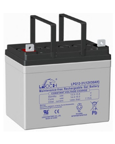 LEOCH LPG 12-31. Аккумулятор герметичный свинцово-кислотный. LEOCH в Ярославле