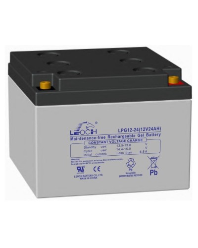 LEOCH LPG 12-24. Аккумулятор герметичный свинцово-кислотный. LEOCH в Ярославле