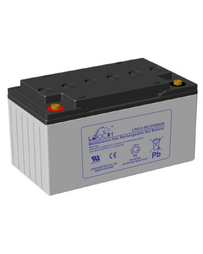 LEOCH LPG 12-65. Аккумулятор герметичный свинцово-кислотный. LEOCH в Ярославле
