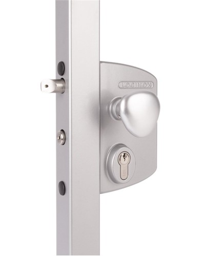 LIKQ4040 U2L (цвет: RAL 9005, черный). Замок электромеханический для калиток. Locinox в Ярославле