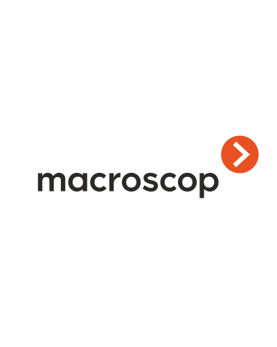 Расширение с LS до ST. Программное обеспечение (опция). MACROSCOP в Ярославле