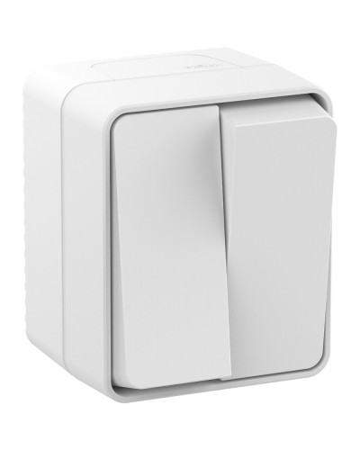 AtlasDesign PROFI54 выключатель 2-клавишный, открытой установки, белый (ATN540151). Выключатель. Systeme Electric в Ярославле