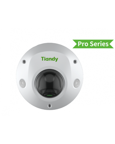 TC-C32PS I3/E/Y/M/H/2.8/V4.2. Видеокамера IP купольная. Tiandy в Ярославле