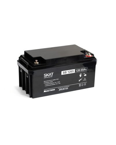SKAT SB 1265 (2541). Аккумулятор герметичный свинцово-кислотный. Бастион в Ярославле
