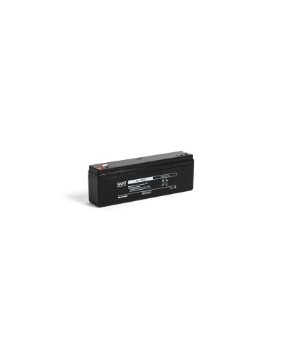 SKAT SB 12022 (2539). Аккумулятор герметичный свинцово-кислотный. Бастион в Ярославле
