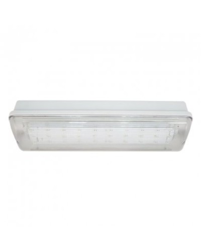 SL-223-30LED1.8 исп. 1, IP65. Светильник аварийного освещения. ИП Раченков А.В. в Ярославле