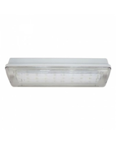 SL-213-30LED1.8 исп. 1 IP65. Светильник аварийного освещения. ИП Раченков А.В. в Ярославле