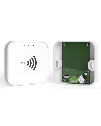RFID-TM. Считыватель RFID. Ритм в Ярославле