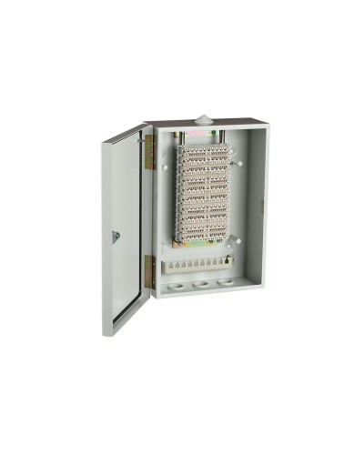 ШРН-В/100-Р (120908-00122). Шкаф ШРН-В/100-Р, плинт ПВТ-10Р-5е. ССД (Связьстройдеталь) в Ярославле