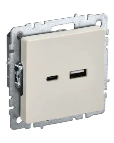 Розетка USB A+C 18Вт РЮ11-1-БрКр бежевый BRITE (BR-U22-018-K10). Розетка USB. IEK в Ярославле