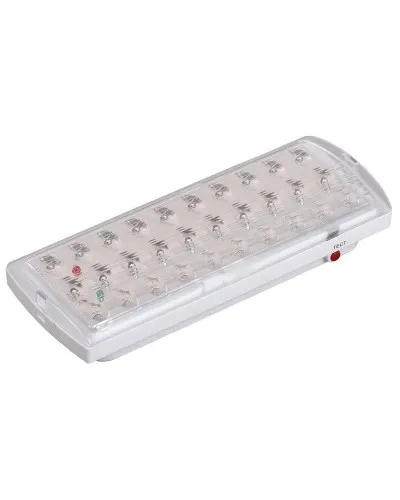Светильник аварийный ДПА 2101 4ч IP20 LIGHTING (LDPA0-2101-30-K01). Светильник аварийный непостоянного действия. IEK в Ярославле
