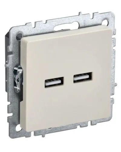 Розетка USB A+A 3,1А РЮ10-1-БрКр бежевый BRITE (BR-U21-D31-K10). Розетка USB. IEK в Ярославле