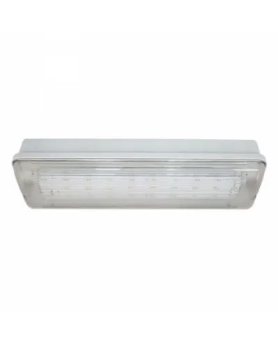 SL-213-30LED1.8 исп.1 IP54. Светильник аварийного освещения. ИП Раченков А.В. в Ярославле